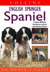 English Springer Spaniel (Collins)
