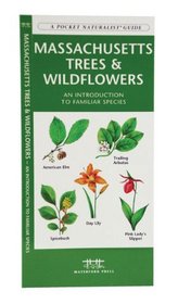 Massachusetts Trees & Wildflowers: An Introduction to Familiar Species (A Pocket Naturalist Guide)