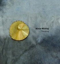 Alison Wilding: Tracking