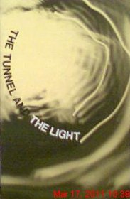 The tunnel and the light;: Readings in modern fiction (Houghton books in literature)