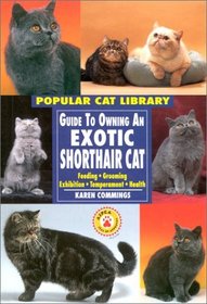 Exotic Shorthair Cat (Popular Cat Library)