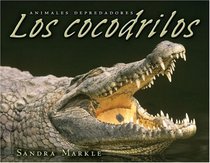 Los Cocodrilos/crocodiles (Animales Depredadores/Animal Predators) (Spanish Edition)