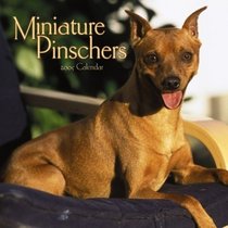 Miniature Pinschers 2005 Wall Calendar