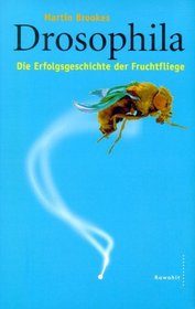 Drosophila. Die Erfolgsgeschichte der Fruchtfliege.