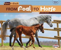 From Foal to Horse (Start to Finish: Nature's Cycles) (Start to Finish, Second Series: Nature's Cycles)