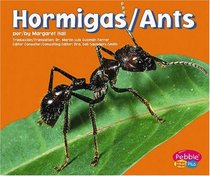 Hormigas / Ants (Pebble Plus Bilingual)