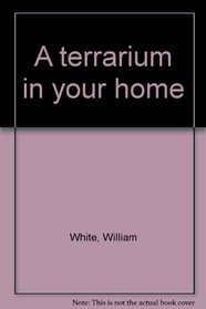 A terrarium in your home
