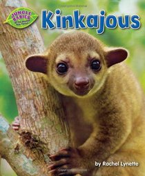 Kinkajous (Jungle Babies of the Amazon Rain Forest)