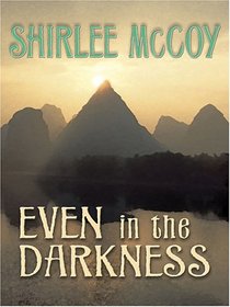 Even in the Darkness (The Lakeview Series #3) (Steeple Hill Love Inspired Suspense #14)