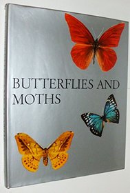 Butterflies and Moths: 2
