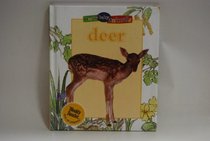 Deer (Busy Baby Animals)