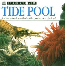 Look Closer: Tide Pool