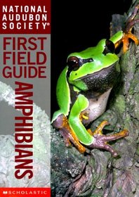 Amphibians (National Audubon Society First Field Guide)