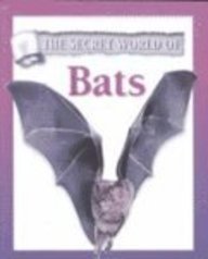 The Secret World of Bats