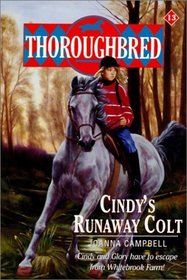Cindy's Runaway Colt (Thoroughbred, Bk 13)