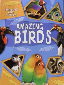 Amazing Birds (Amazing Life Cycles)