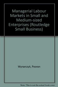 Managerial Labour Markets in Small and Medium-Sized Enterprises (Small Business)