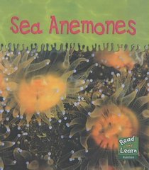 Read and Learn: Ooey-Gooey Animals - Sea Anemones (Read & learn)