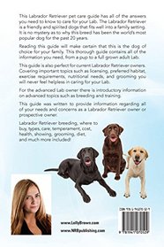 Labrador Retriever: Labrador Retriever breeding, diet, rescue, adoption, where to buy, cost, health, lifespan, types, care, and more included! A Complete Pet Care Guide For Labs