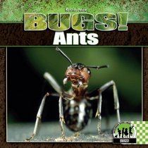 Ants (Bugs!)