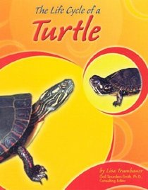 The Life Cycle of a Turtle (Life Cycles)