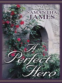 A Perfect Hero (Thorndike Press Large Print Romance Series)