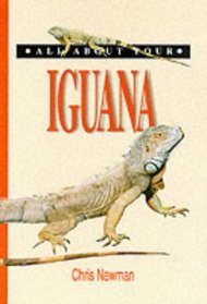 All About Your Iguana