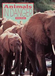 Animals in Danger (Ranger Rick Science Spectacular)