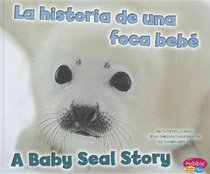 La historia de una foca beb/A Baby Seal Story (Pebble Plus Bilingual)