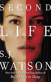 Second Life Intl: A Novel