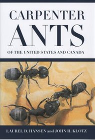 Carpenter Ants Of The United States And Canada