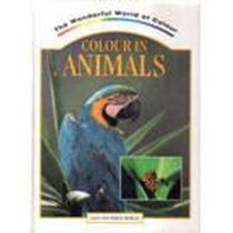 Colour in Animals (Wonderful World of Colour)