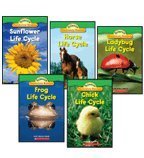 Life Cycles Science Vocabulary Readers 5-Book Set: Chick Life Cycle, Frog Life Cycle, Horse Life Cycle, Ladybug Life Cycle, and Sunflower Life Cycle