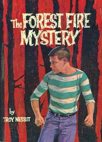 the forest fire mystery