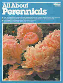 All about perennials