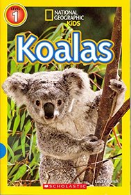 Koalas: National Geographic Kids