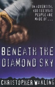 Beneath the Diamond Sky