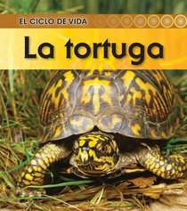 La tortuga / Turtle (El Ciclo De Vida / Life Cycle of a. . .) (Spanish Edition)