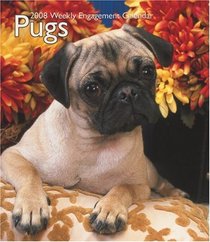 Pugs 2008 Hardcover Weekly Engagement Calendar