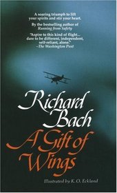 richard bach seagull