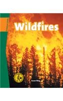 Wildfires (Science Links)