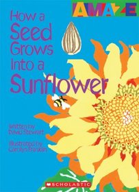 How a Seed Grows Into a Sunflower (Amaze)