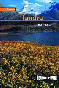 Tundra (Biomes)