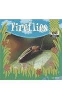 Fireflies (Insects)