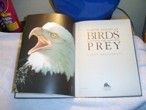 North American birds of prey