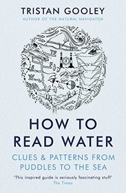 How to Read Water: Clues, Signs & Patterns from Puddles to the Sea