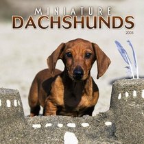 Miniature Dachshunds 2005 Wall Calendar