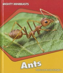 Ants (Mighty Minibeasts)