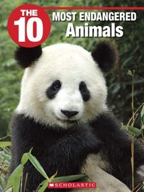 The 10 Most Endangered Animals