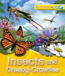 Explorers: Insects and Creepy-Crawlies